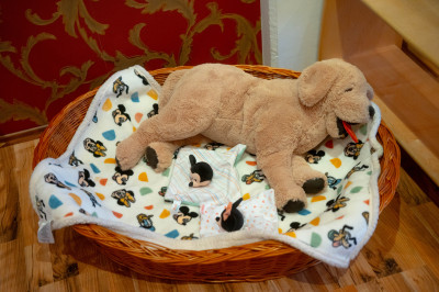 Unser Kuscheltier